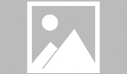 黄色视频下载网址,揭秘网络色情传播的黑暗角落